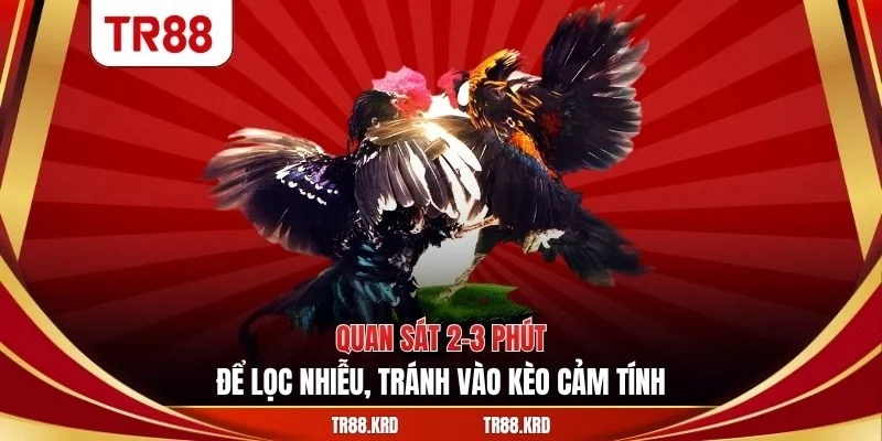 Quan sát 2–3 phút để lọc nhiễu, tránh vào kèo cảm tính