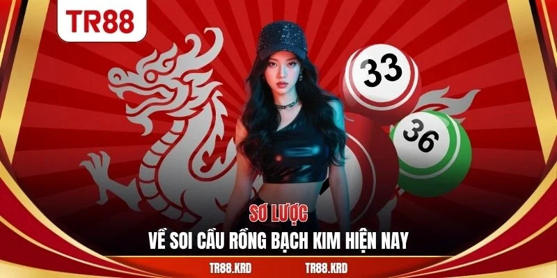 Sơ lược về soi cầu rồng bạch kim hiện nay